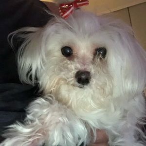 Meet your Posher, Alberto